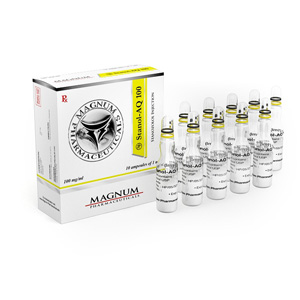Stanozolol injection (Winstrol depot) 10 Ampullen (100mg/ml) online by Magnum Pharmaceuticals