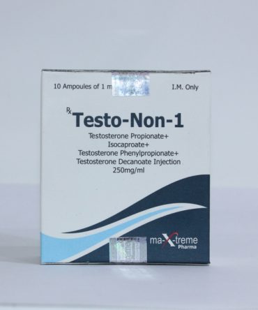 Sustanon 250 (Testosterone mix) 10 Ampullen (250mg/ml) online by Maxtreme