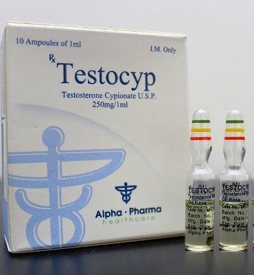 Testosterone Cypionate 10 Ampullen (250mg/ml) online by Alpha Pharma, Watson analogue